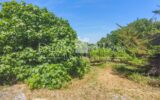 Maison à vendre à Uzes — Vue nature — photo 9