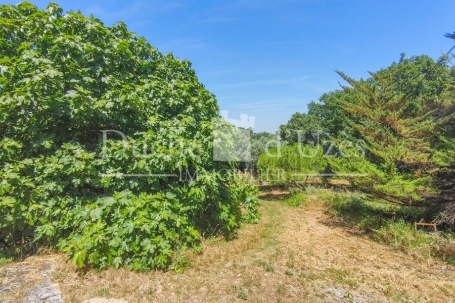 Maison à vendre à Uzes — Vue nature — photo 9
