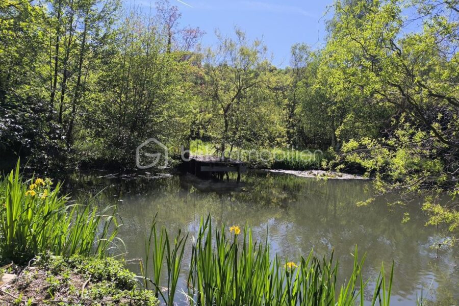 Maison à vendre à Montreuil le henri — Vue nature — photo 9