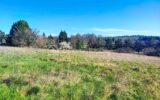 Maison à vendre à Liorac sur louyre — Vue nature — photo 9