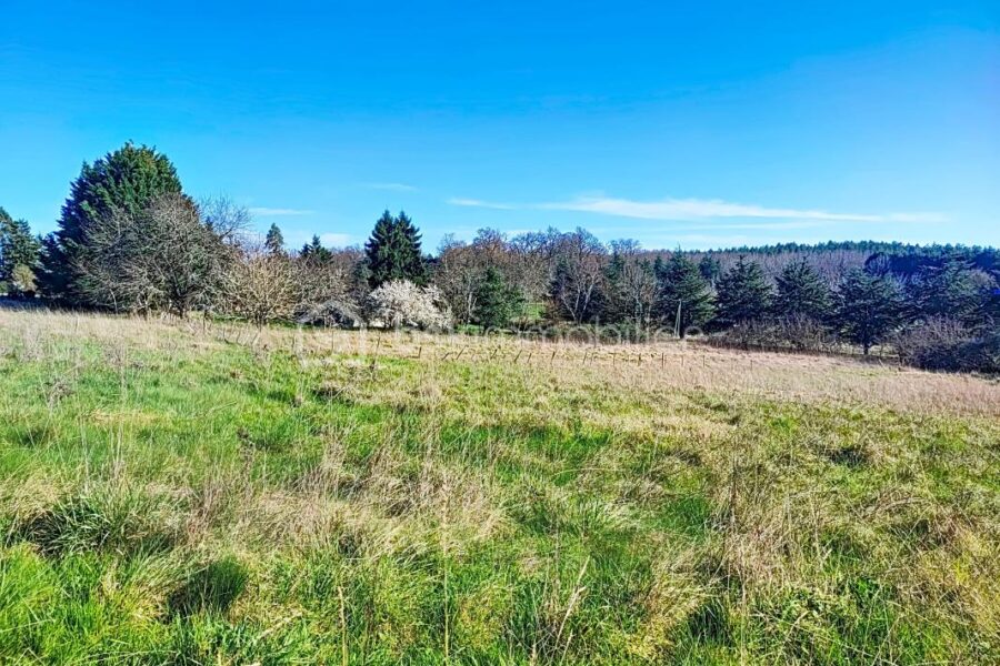Maison à vendre à Liorac sur louyre — Vue nature — photo 9