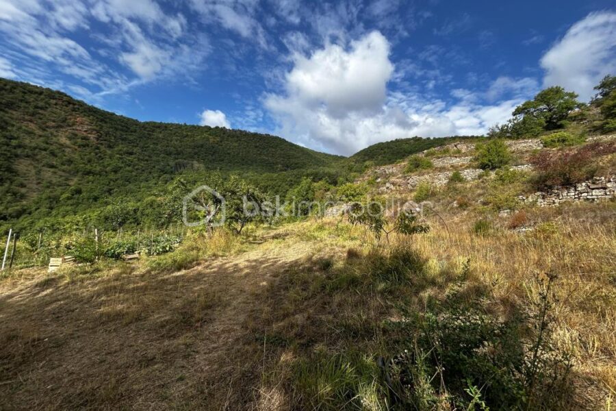Maison à vendre à Montjaux — Vue nature — photo 9