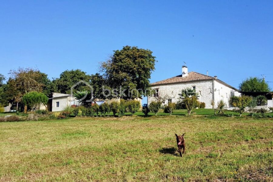 Maison à vendre à Astaffort — Vue nature — photo 9