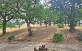 Maison à vendre à Lavit — Vue nature — photo 9
