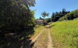 Maison à vendre à Isches — Vue nature — photo 32