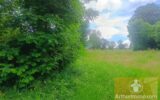 Terrain à vendre à Saint-laurent-de-muret — Vue nature — photo 4