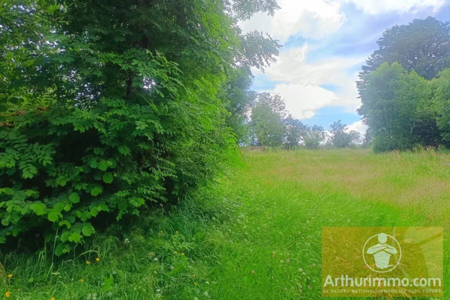 Terrain à vendre à Saint-laurent-de-muret — Vue nature — photo 4