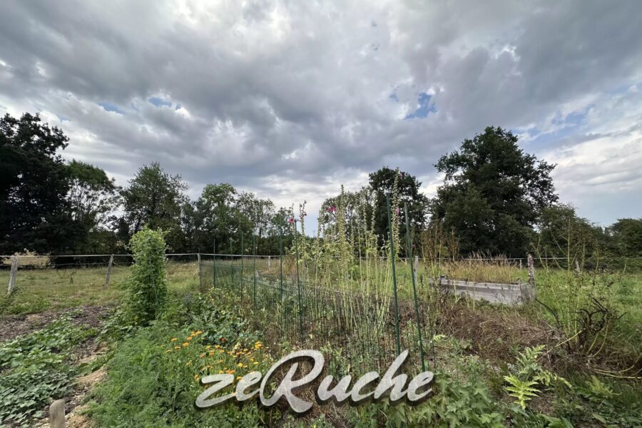 Maison à vendre à Cahagnes — Vue nature — photo 49