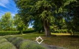 Maison à vendre à Ranco — Vue lac — photo 35