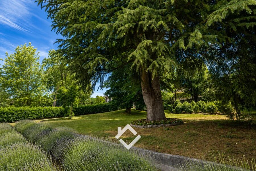 Maison à vendre à Ranco — Vue lac — photo 35