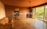 Appartement à vendre à Digne-les-bains — Vue montagne — photo 3