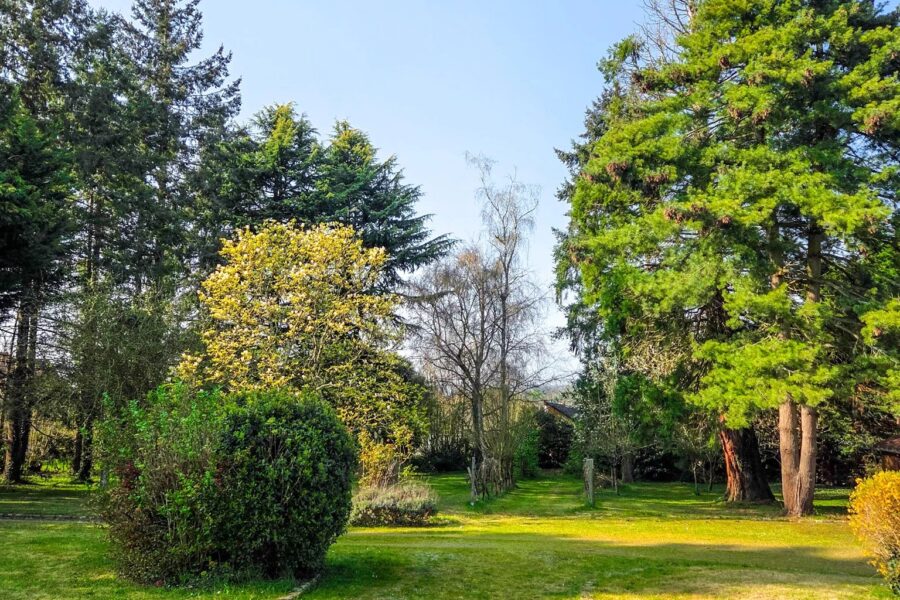 Terrain à vendre à Le mans — Vue parc & jardin — photo 3