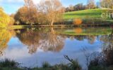 Terrain à vendre à Boursay — Vue lac — photo 1