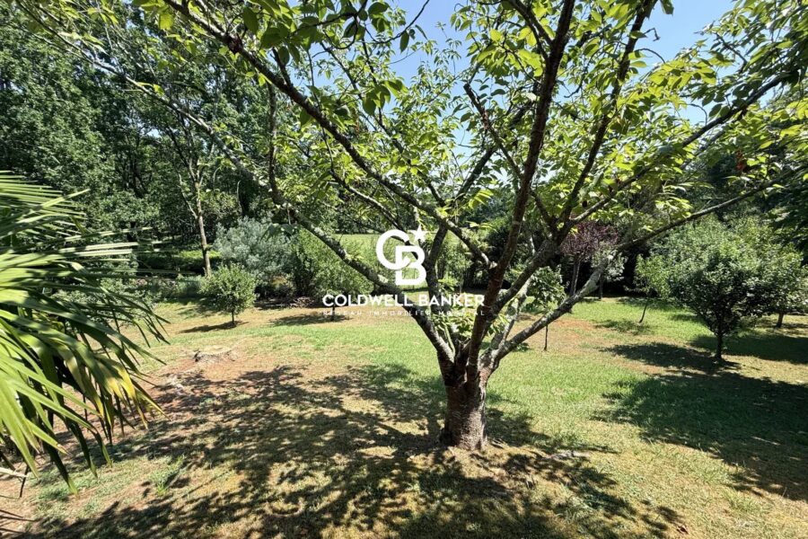 Maison à vendre à Arcangues — Vue nature — photo 35