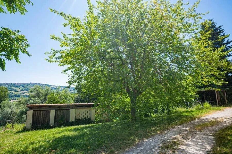Maison à vendre à Serra san quirico — Vue nature — photo 21