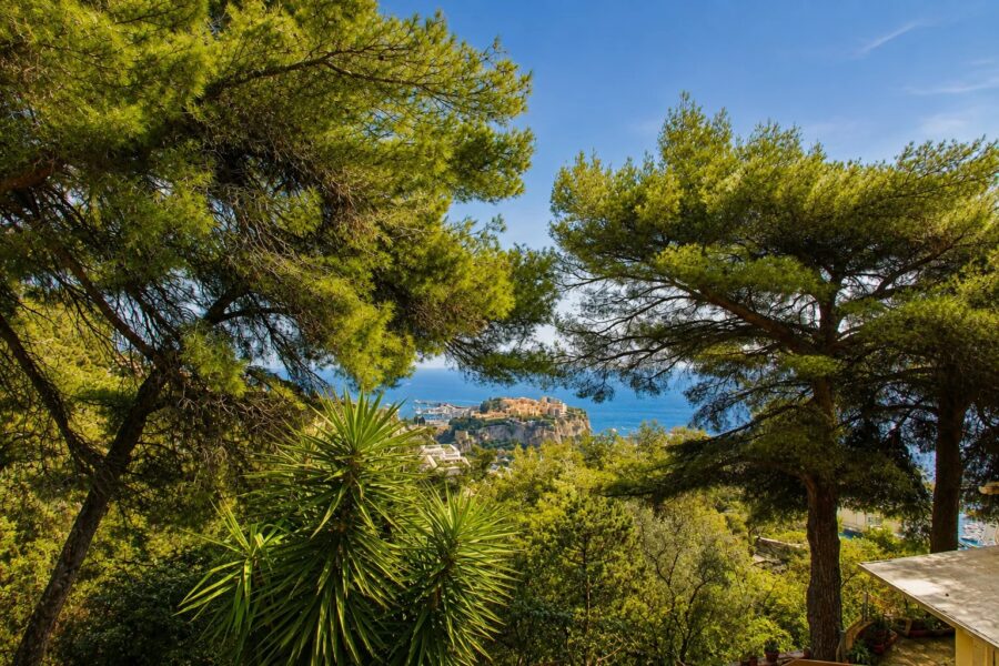 Maison à vendre à Cap-d&rsquo;ail — Vue mer — photo 9