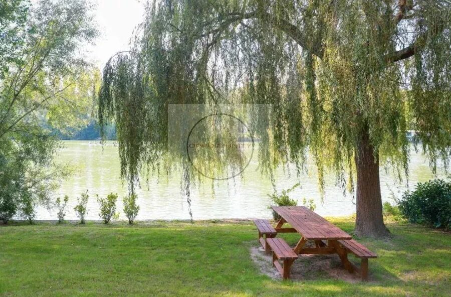 Maison à vendre à Samoreau — Vue parc — photo 7