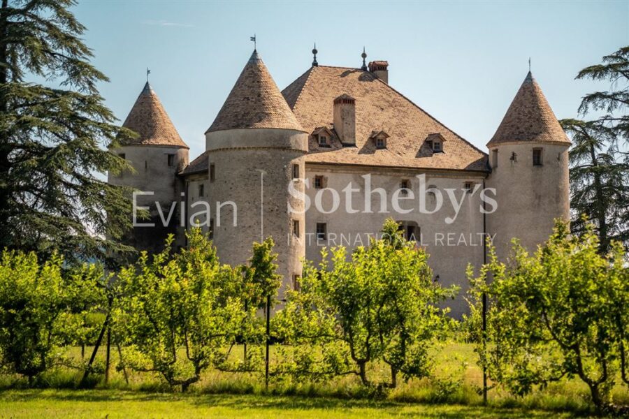 Maison à vendre à Lully — Vue nature — photo 7