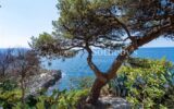Maison à vendre à Nice — Vue mer — photo 15