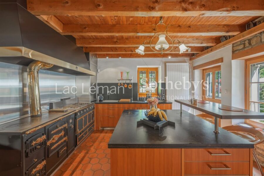 Maison à vendre à Cranves sales — Vue lac — photo 11