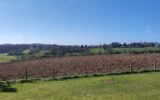 Maison à vendre à Gournay-en-bray — Vue nature — photo 12