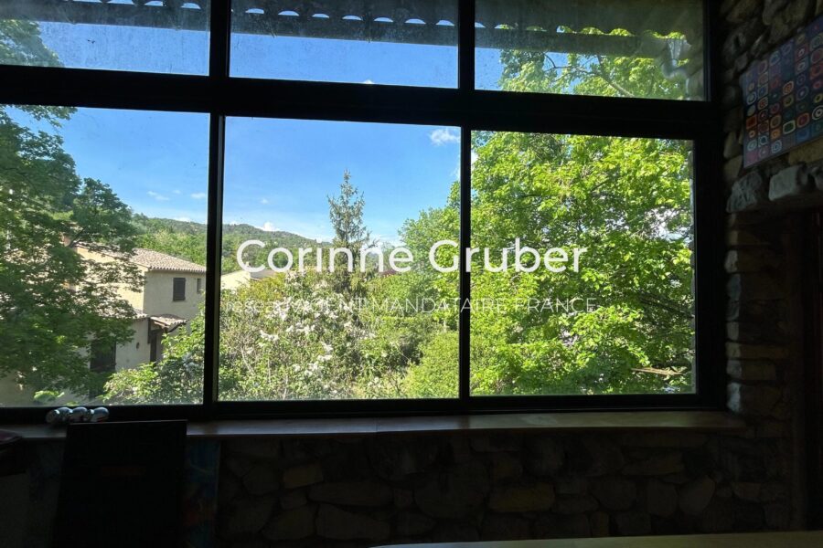 Maison à vendre à Digne-les-bains — Vue montagne — photo 12
