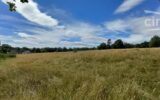 Maison à vendre à La ferté-saint-cyr — Vue nature — photo 20
