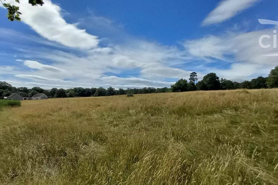 Maison à vendre à La ferté-saint-cyr — Vue nature — photo 20