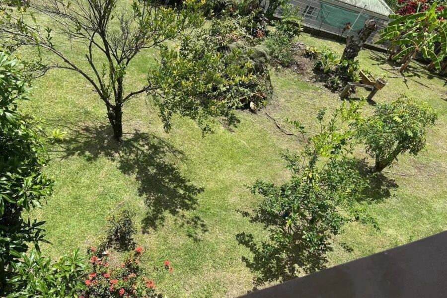 Maison à vendre à Ducos — Vue nature — photo 14