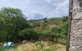 Maison à vendre à Saugues — Vue nature — photo 1