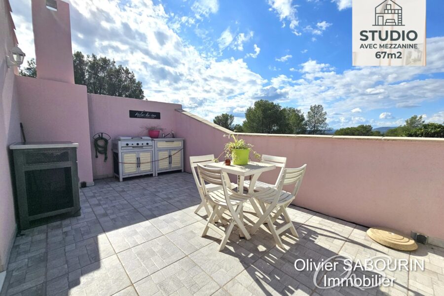 Maison à vendre à Roquebrune-sur-argens — Vue parc & jardin — photo 15