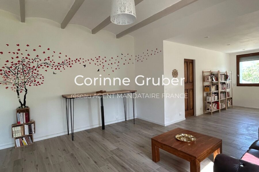 Maison à vendre à Digne-les-bains — Vue montagne — photo 24