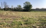 Terrain à vendre à Neuvic — Vue dégagée — photo 1