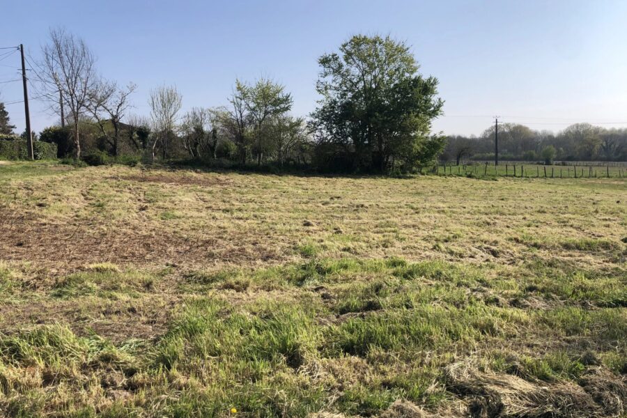 Terrain à vendre à Neuvic — Vue dégagée — photo 1