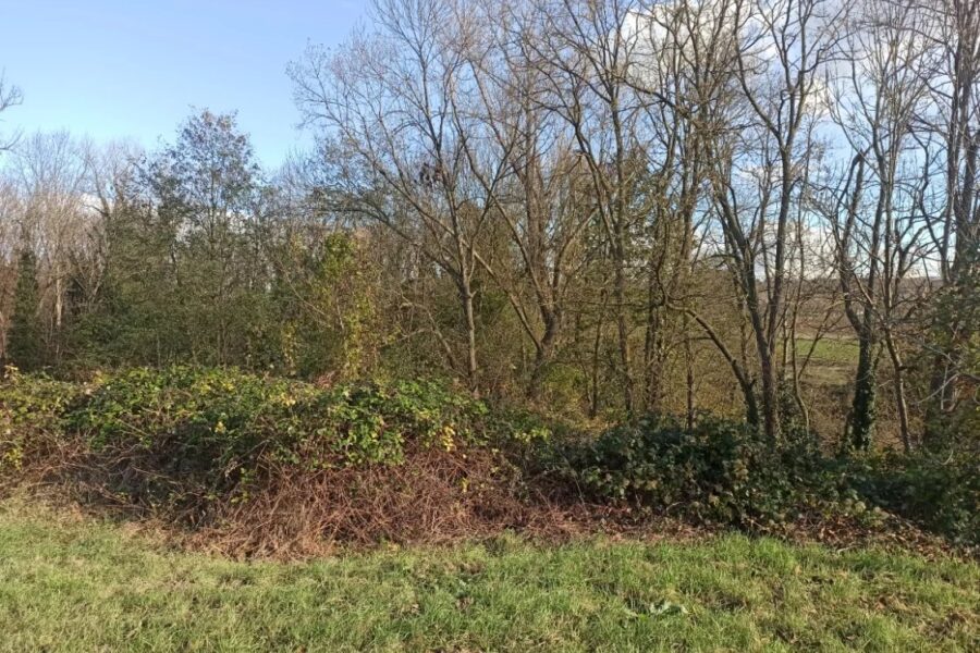 Terrain à vendre à Les martres-d&rsquo;artière — Vue dégagée — photo 1
