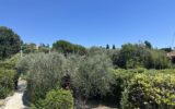Appartement à vendre à Nice — Vue mer — photo 10