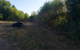 Terrain à vendre à Orléat — Vue nature — photo 5