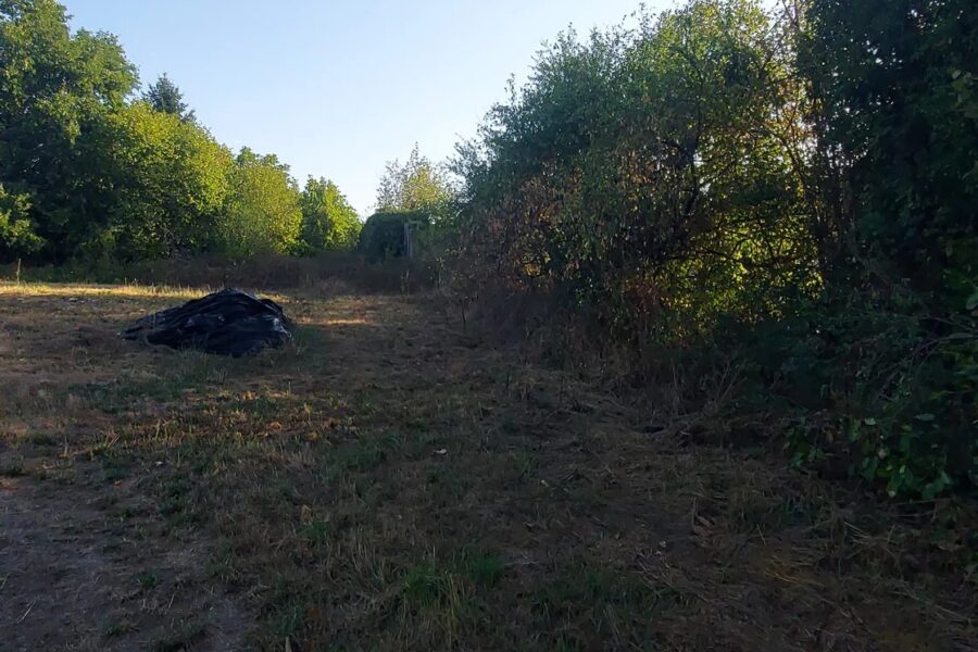 Terrain à vendre à Orléat — Vue nature — photo 5