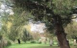 Terrain à vendre à Ardiège — Vue nature — photo 3
