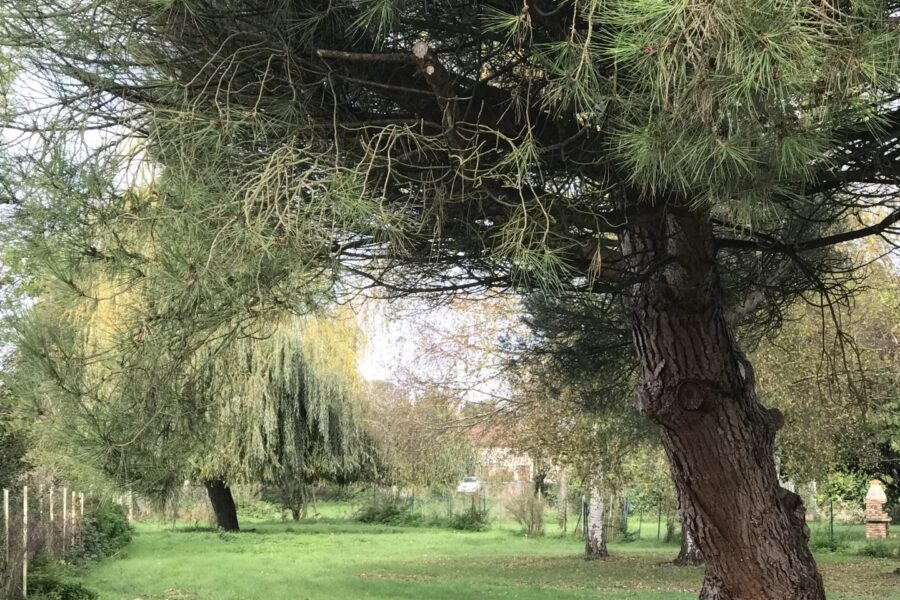 Terrain à vendre à Ardiège — Vue nature — photo 3