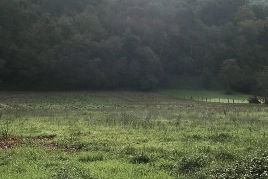 Terrain à vendre à Ardiège — Vue nature — photo 1