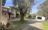 Maison à vendre à Mougins — Vue parc & jardin — photo 4