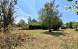 Terrain à vendre à Vineuil — Vue dégagée — photo 1