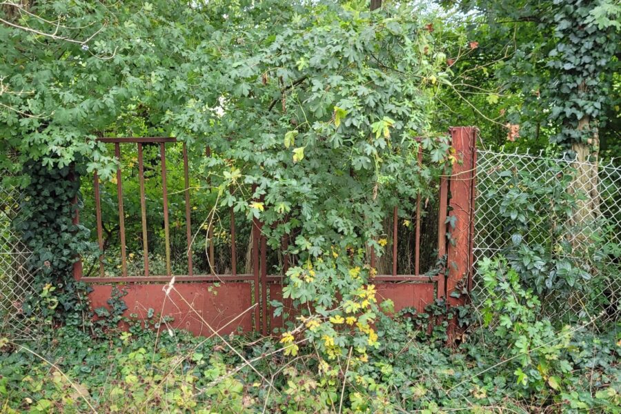 Maison à vendre à Les roches-l&rsquo;Évêque — Vue nature — photo 12