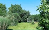 Maison à vendre à Pluméliau-bieuzy — Vue parc & jardin — photo 15