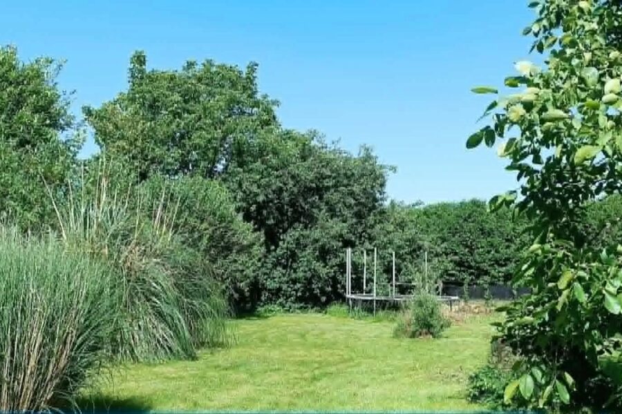 Maison à vendre à Pluméliau-bieuzy — Vue parc & jardin — photo 15