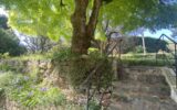 Maison à vendre à Mougins — Vue parc & jardin — photo 1
