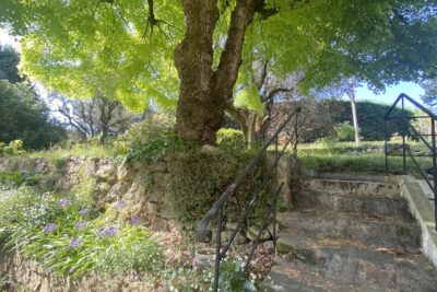 Maison à vendre à Mougins