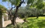 Maison à vendre à Mougins — Vue parc & jardin — photo 5
