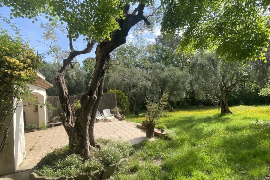 Maison à vendre à Mougins — Vue parc & jardin — photo 5